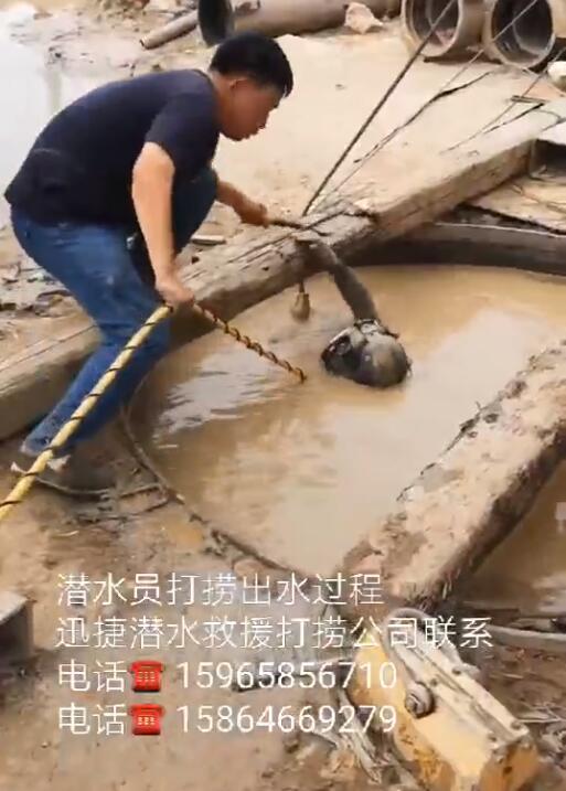 视频展示