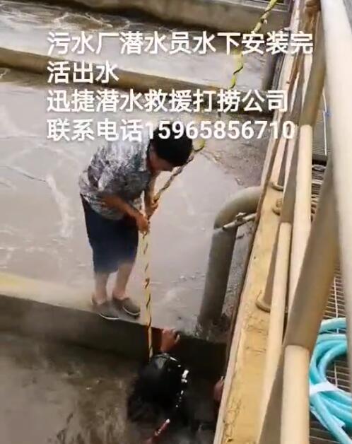 视频展示