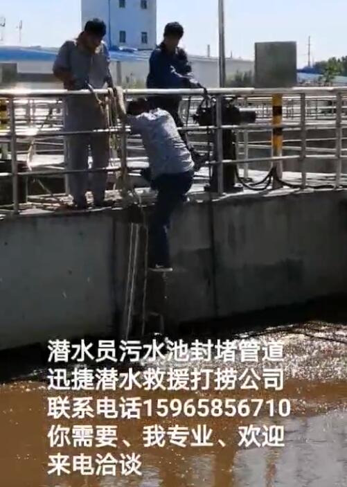 视频展示