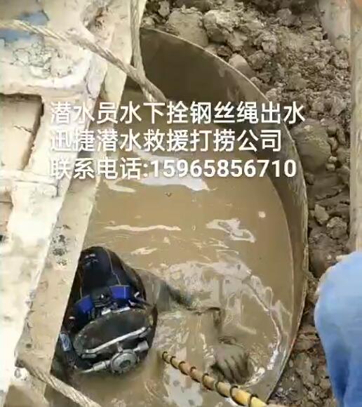 视频展示