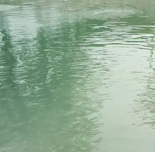 视频展示-水下打捞